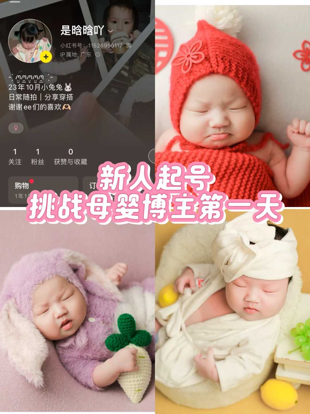 北京靠谱代生网,北京公立医院捐卵供卵代孕价格？