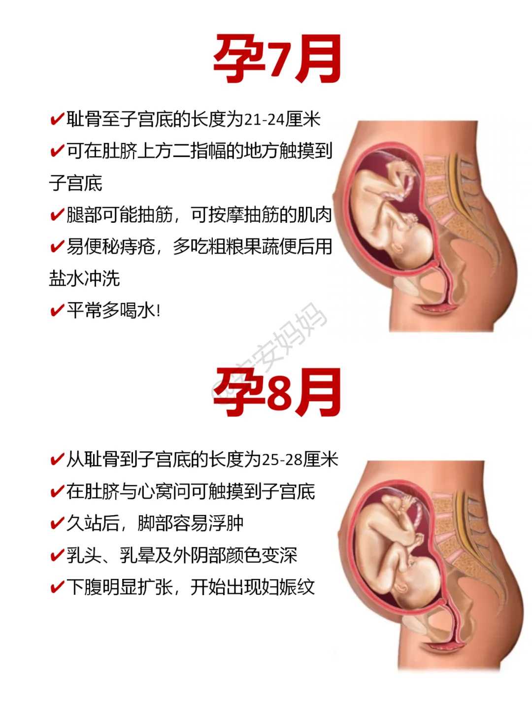 北京供卵代孕借卵机构,北京供卵代孕婴儿咨询电话号码